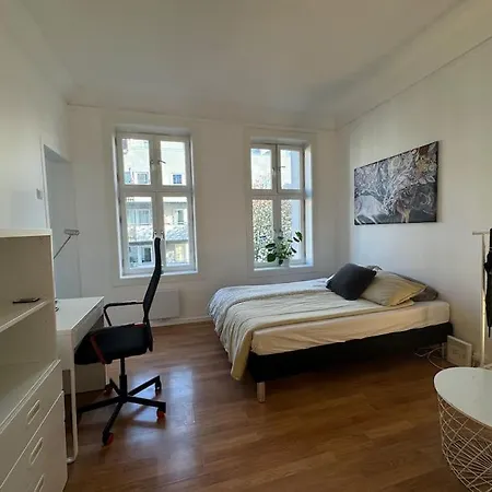 Central Fast Wifi Working Place Cozy Осло Экстерьер фото