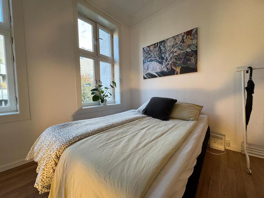 Apartment Fast Wifi Working Place Cozy