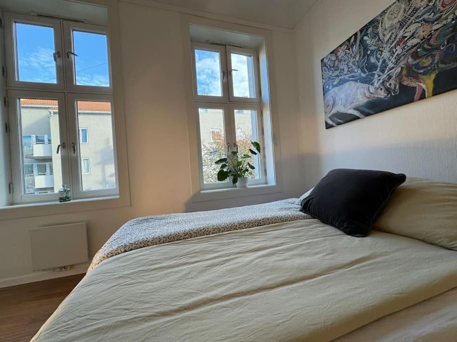 Fast Wifi Working Place Cozy Apartment *