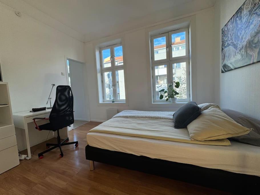 Apartment Fast Wifi Working Place Cozy Oslo