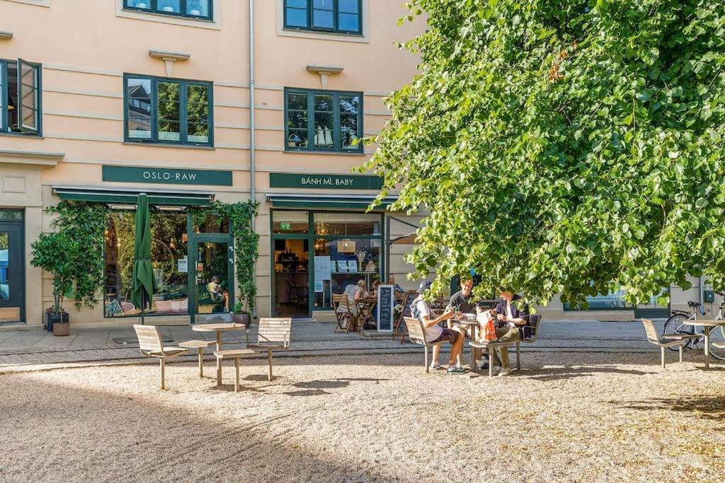 Fast Wifi Working Place Cozy Apartment Oslo