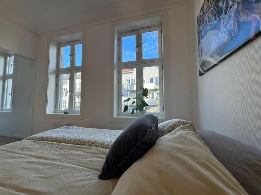 Apartment Fast Wifi Working Place Cozy Oslo